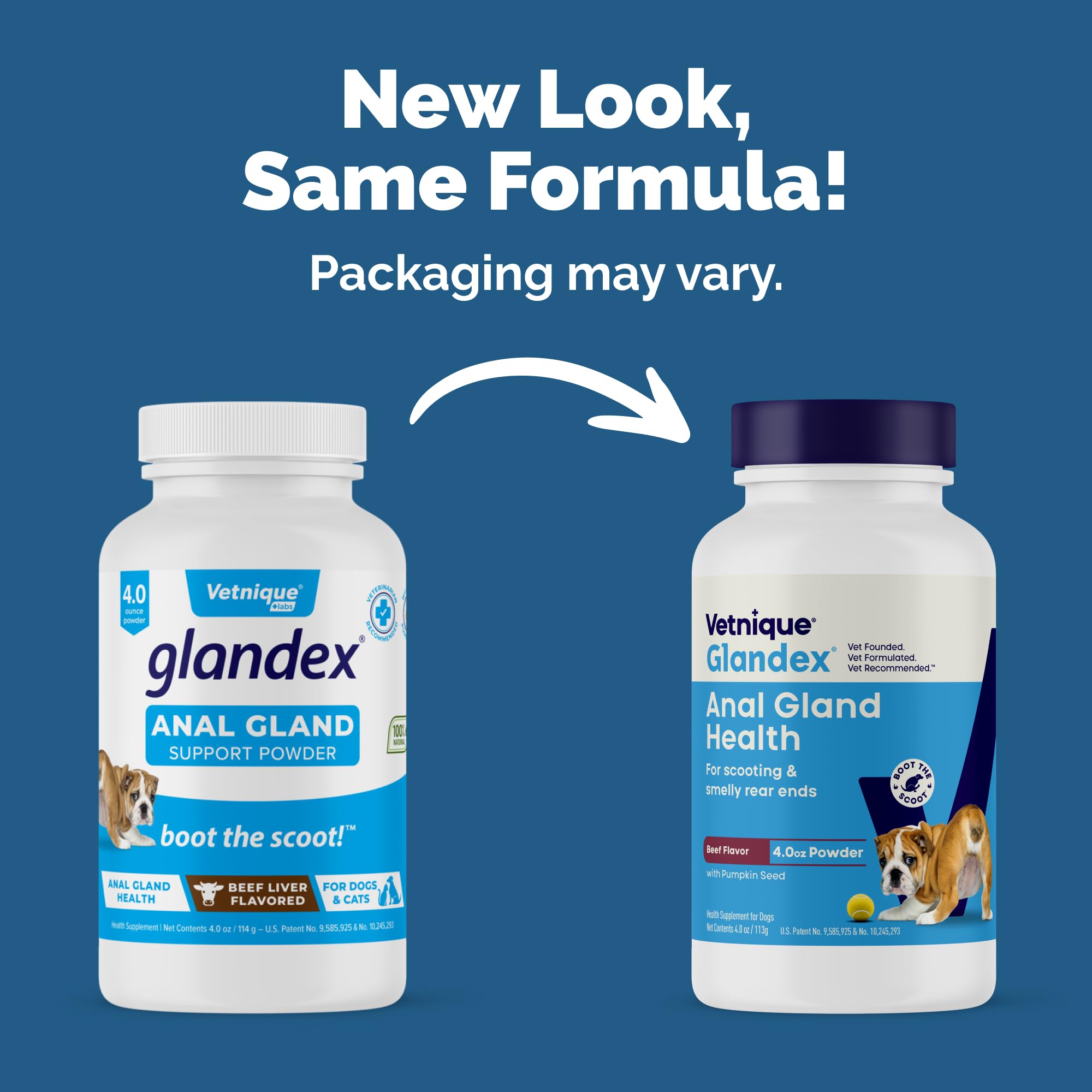 Vetnique Glandex powder pumpkin-seed-ingredients highlighting natural fiber