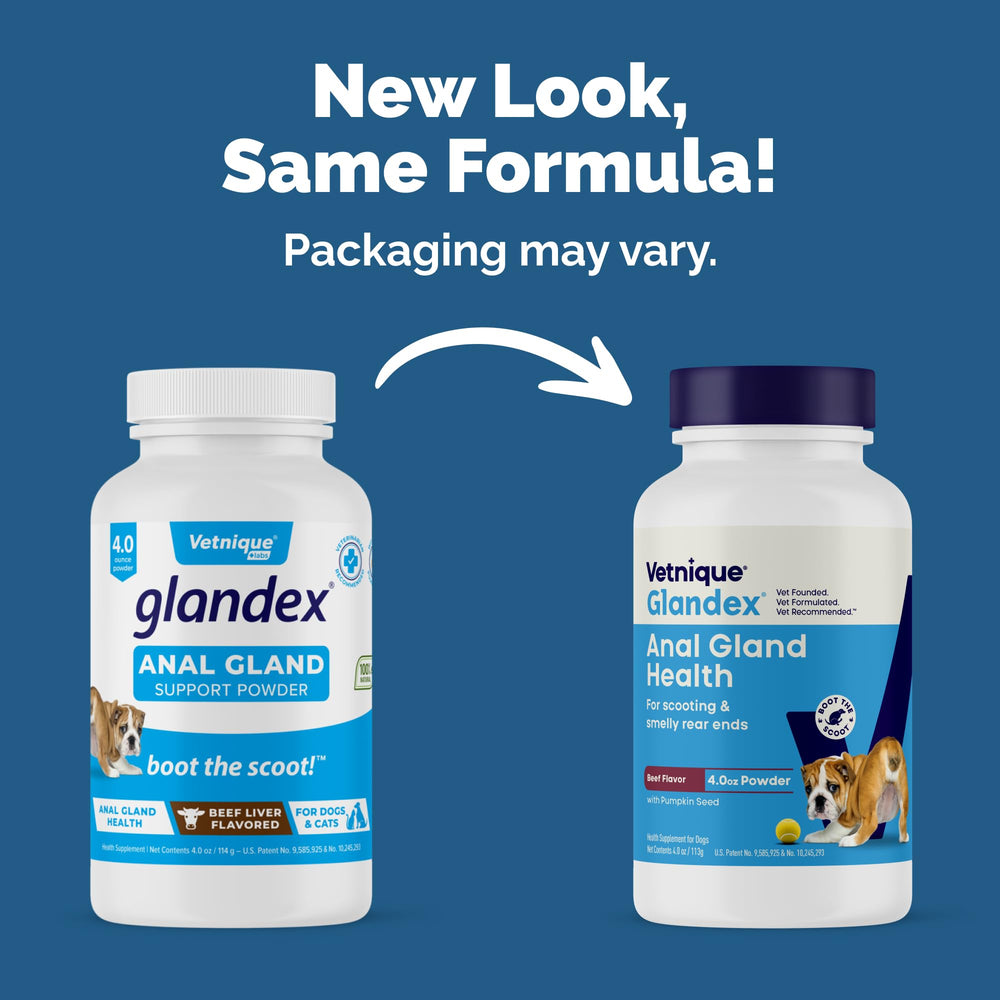 Vetnique Glandex powder pumpkin-seed-ingredients highlighting natural fiber