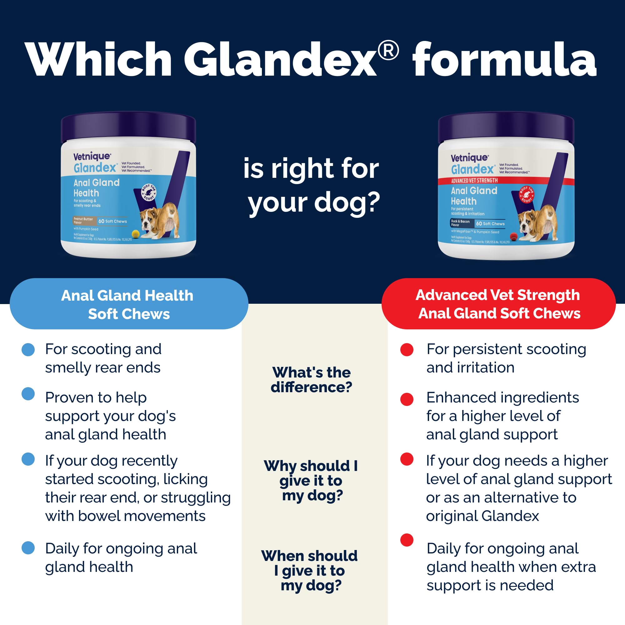Vetnique Glandex made-in-USA label ensuring quality ingredients