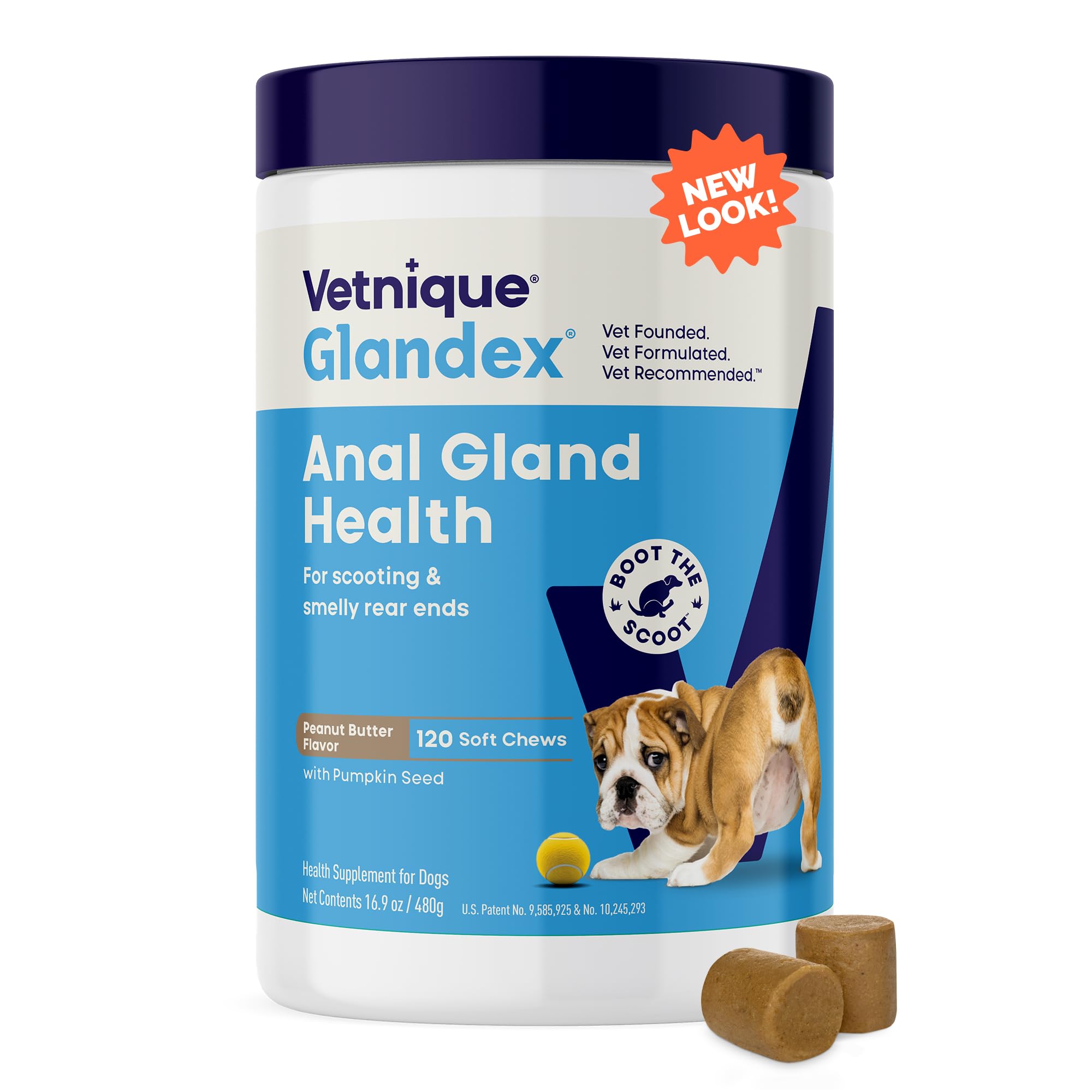 Vetnique Glandex pumpkin in bowl supports digestive comfort