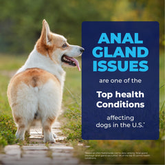 Vetnique Glandex wipes soft cotton texture demonstrating gentle application.