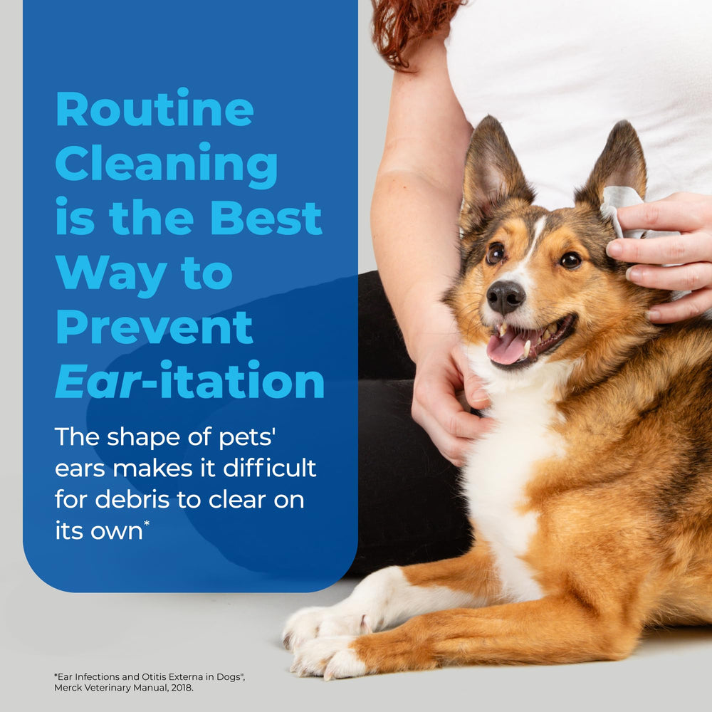 Cat ear cleaning with Oticbliss wipes demonstrated for gentle care