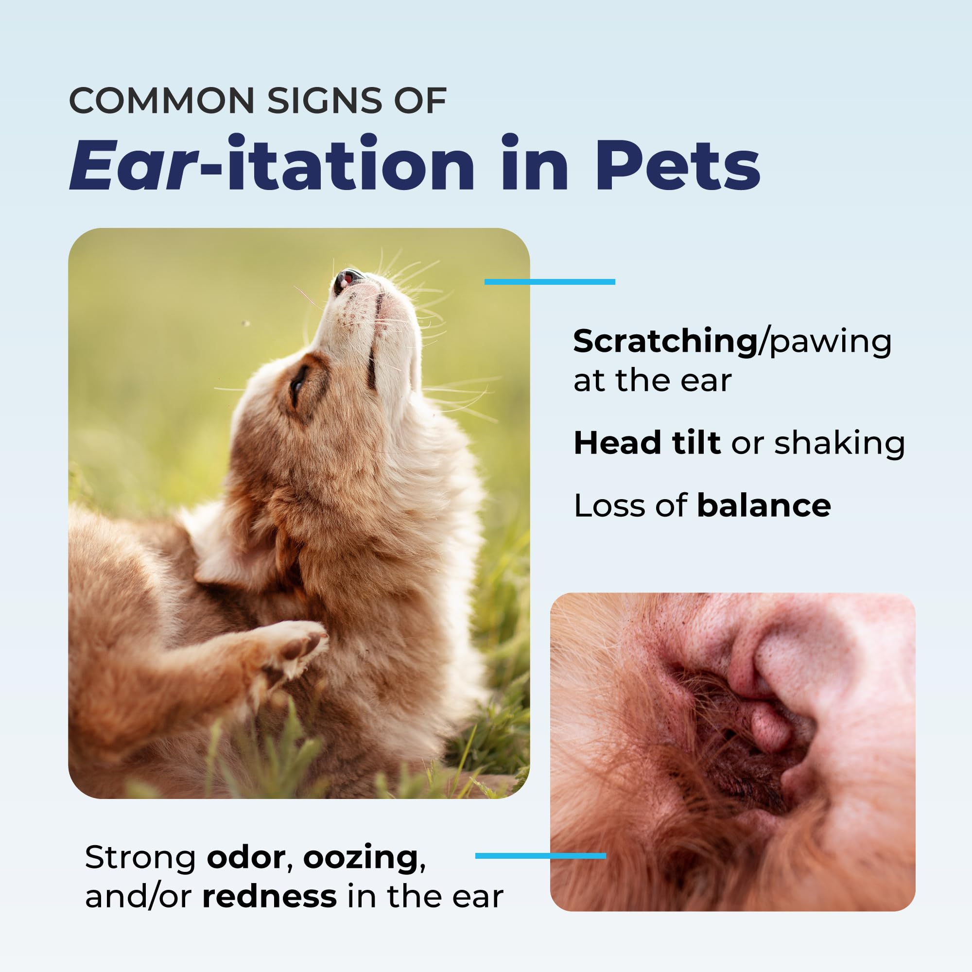 Vetnique Oticbliss daily-care routine image for weekly ear cleaning