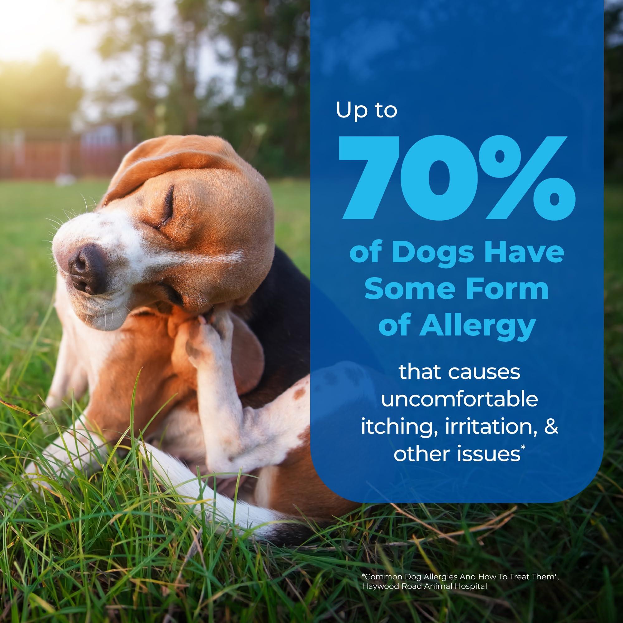 Vetnique Oticbliss ear cleaner application on a dog, soothing irritation.