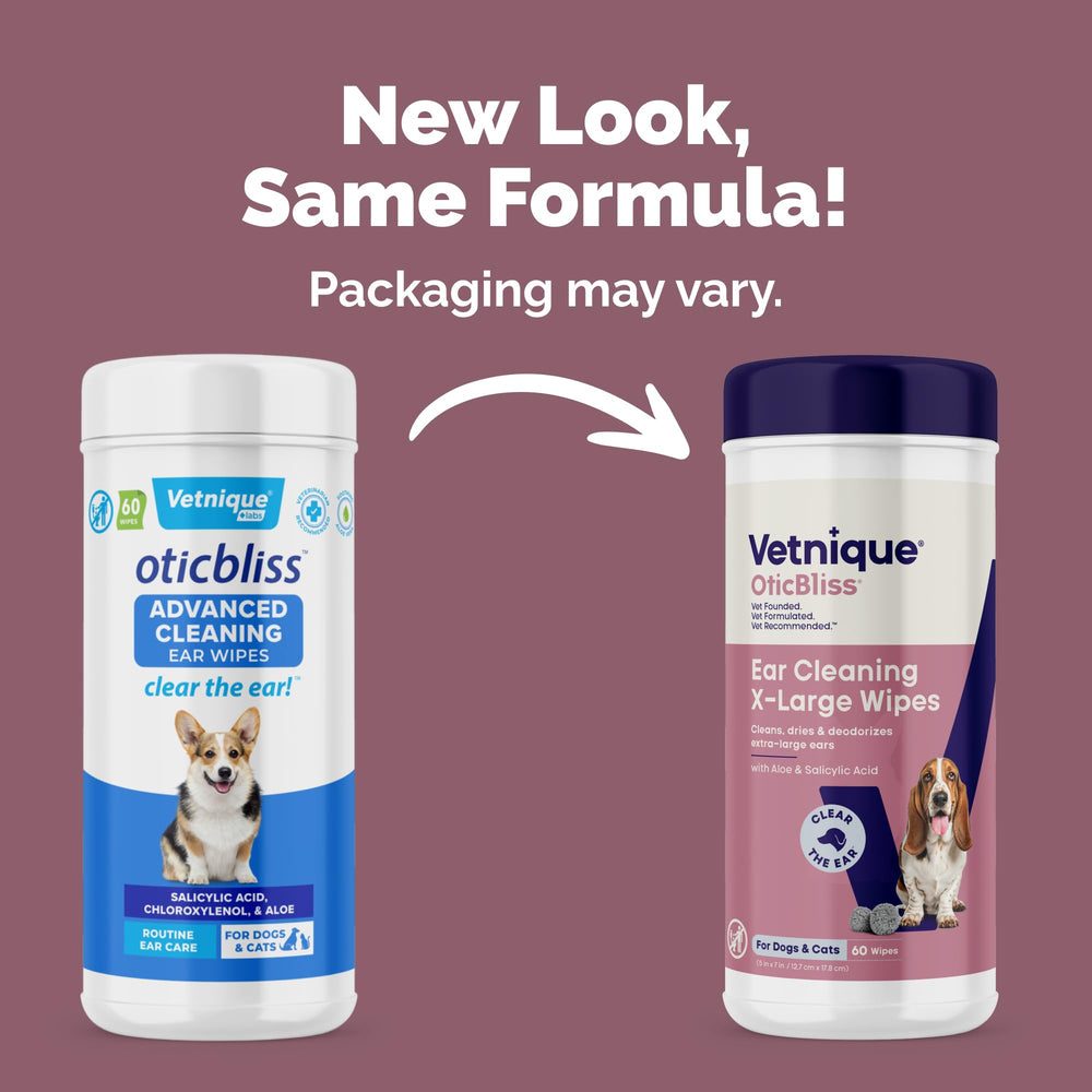 Dog being cleaned with Oticbliss ear wipes during grooming action