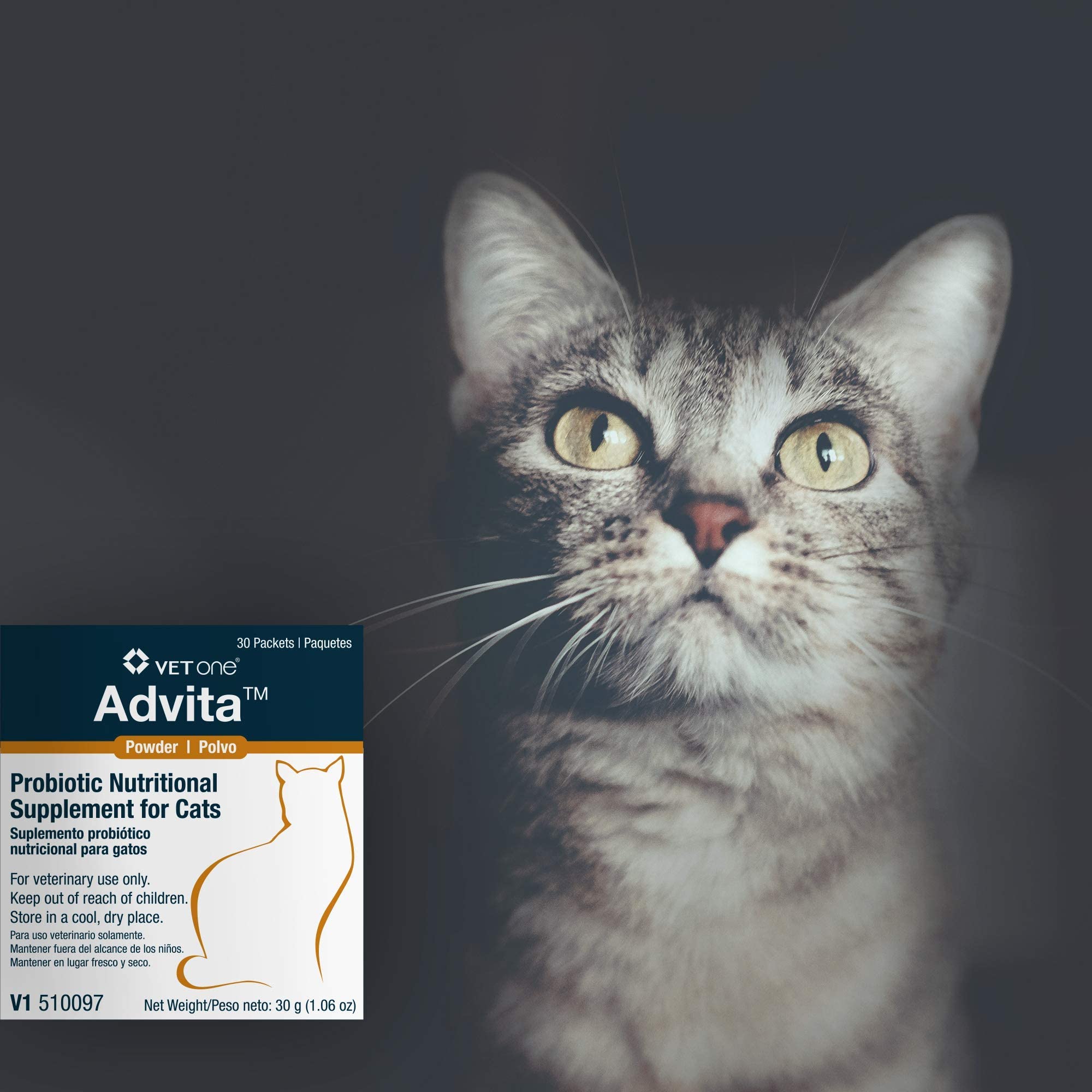 Vet One Advita powder in cat food bowl for easy daily administration