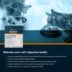 Vet One Advita powder in water bowl demonstrates versatile mixing