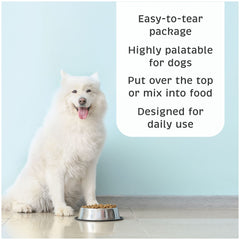 VetOne Advita probiotic packets beside dog bowl, supporting healthy digestion and appetite