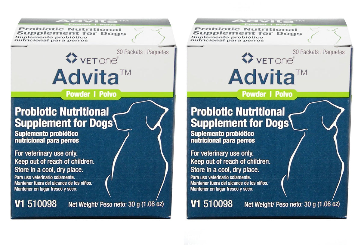 VetOne Advita probiotic for dogs 60ct pack shot highlighting digestive support