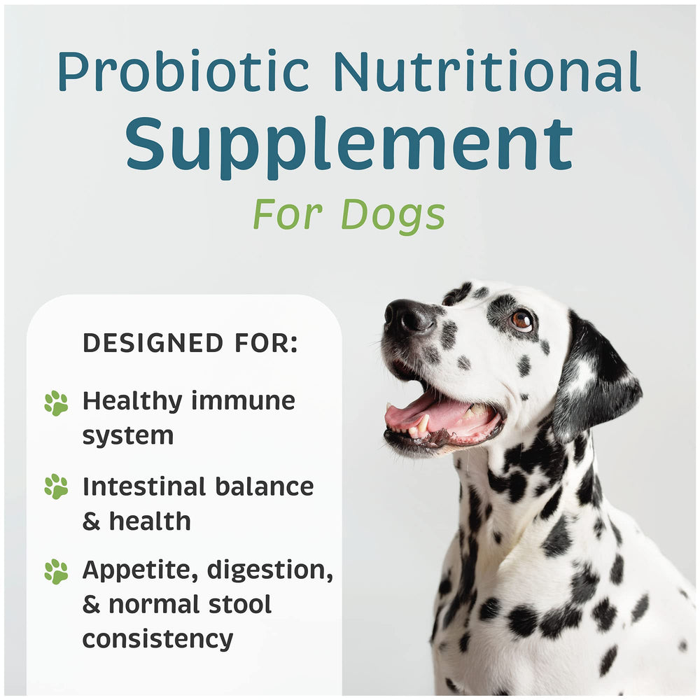 VetOne Advita probiotic packets side view, easy-to-use daily supplement for digestion