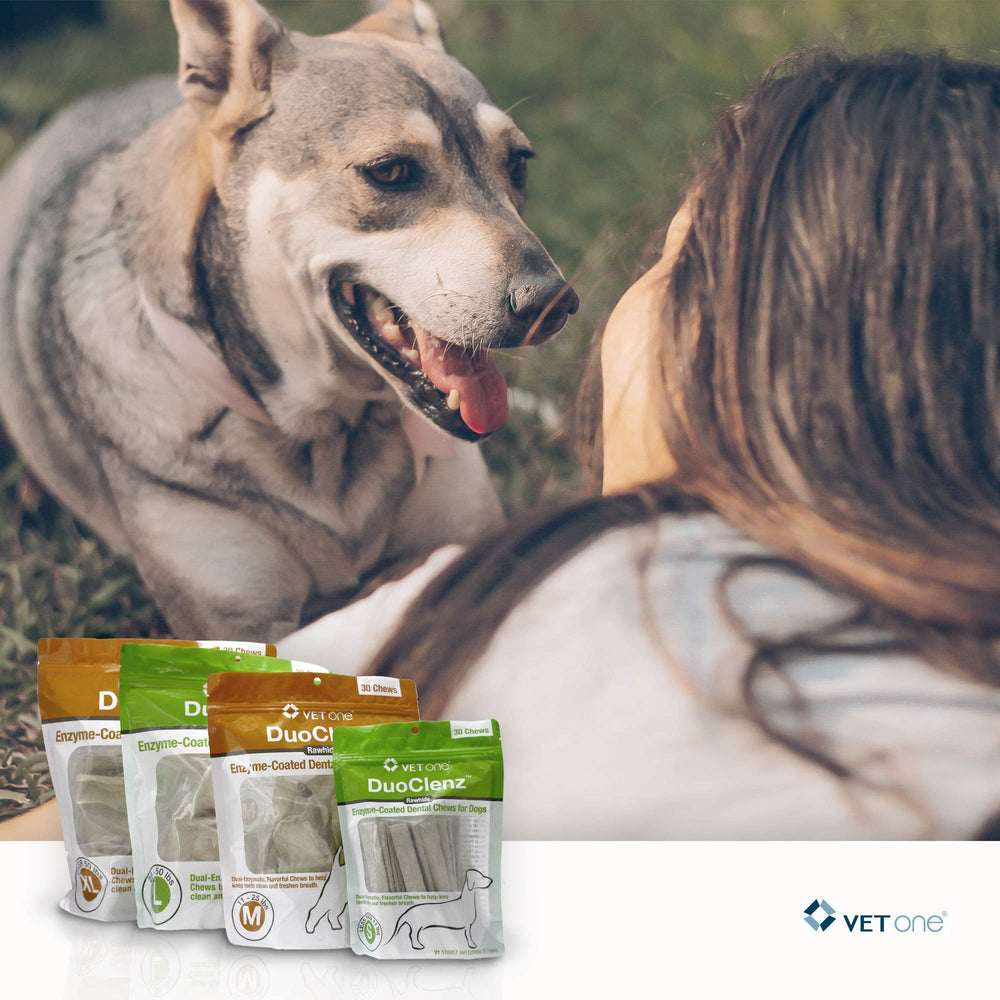 Vet One DuoClenz chews in bag emphasize 30-count convenience for monthly dental routines.