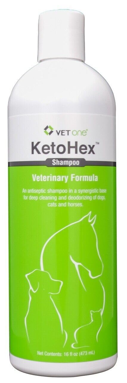 VetOne KetoHex bottle with label emphasizes antifungal and antimicrobial formula.