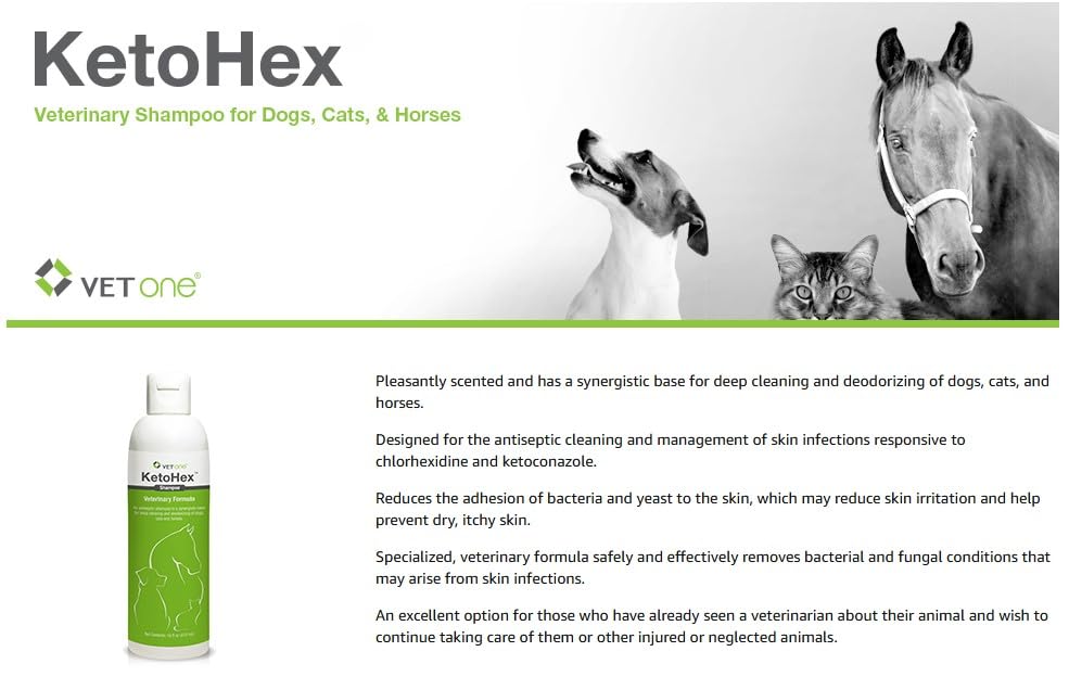 VetOne KetoHex shampoo during dog bath-time action suggests odor control.