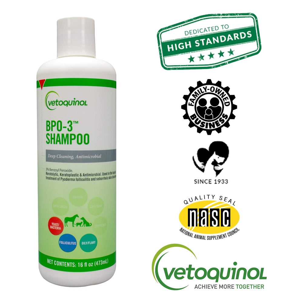 Vetoquinol BPO-3 Shampoo application-on-pet demonstrates simple routine for medicated cleanse