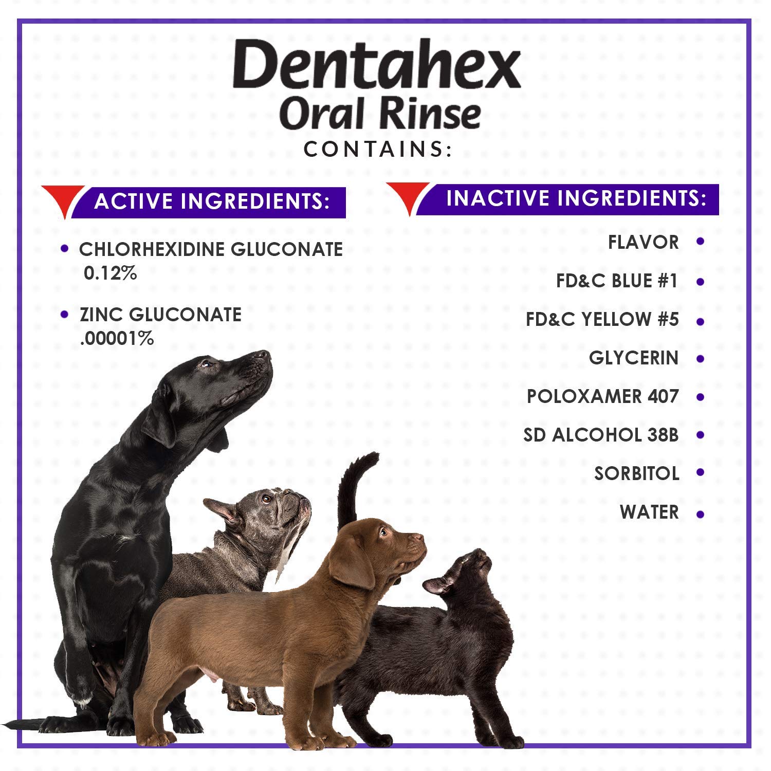 Vetoquinol Dentahex mouth spray offers convenient oral hygiene with pleasant taste