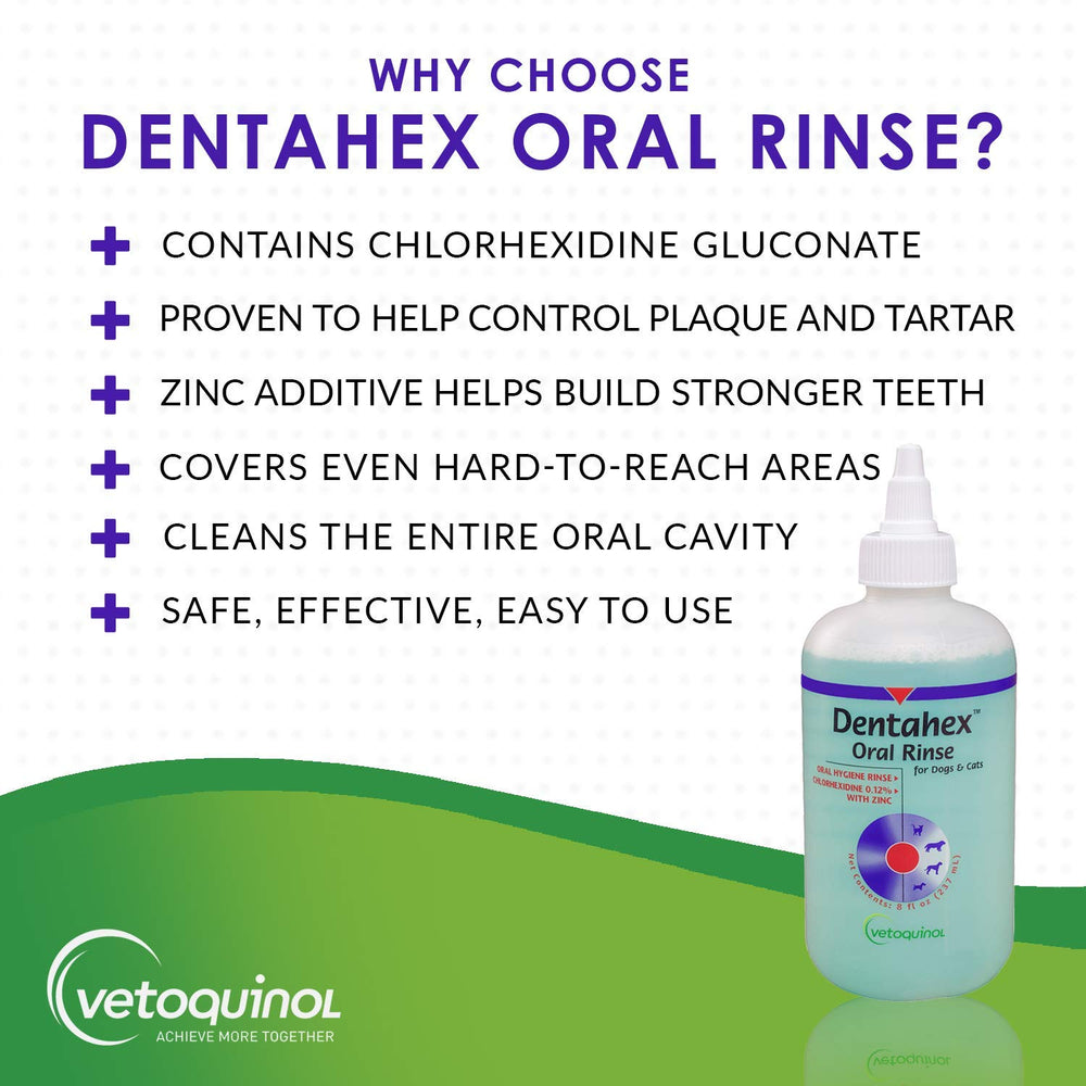 Vetoquinol Dentahex pet cleaner demonstrates reduced dental buildup for healthy smiles