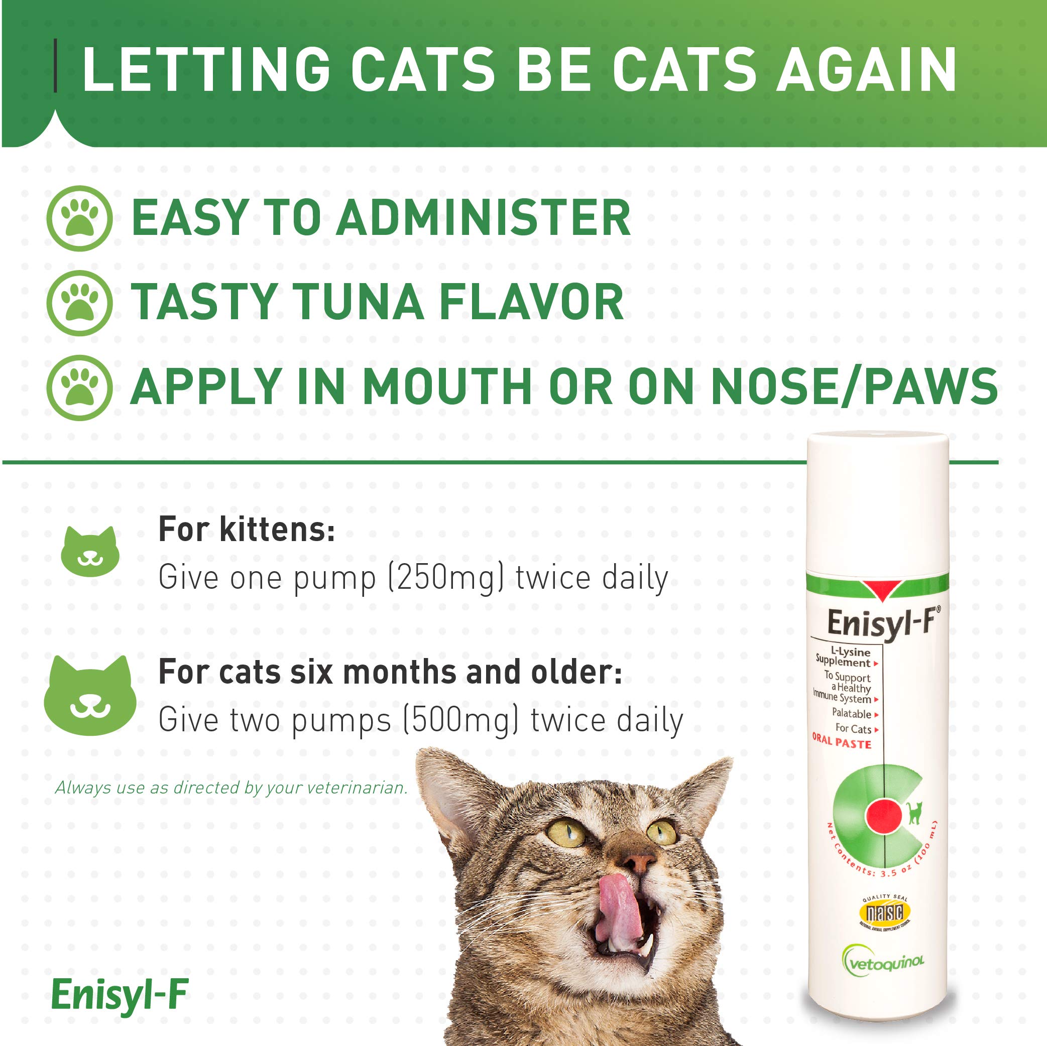 Vetoquinol Enisyl-F cat respiratory support illustration for nasal wellness.