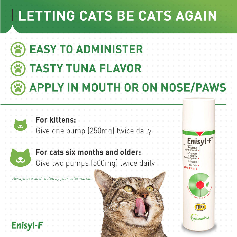 Vetoquinol Enisyl-F cat respiratory support illustration for nasal wellness.