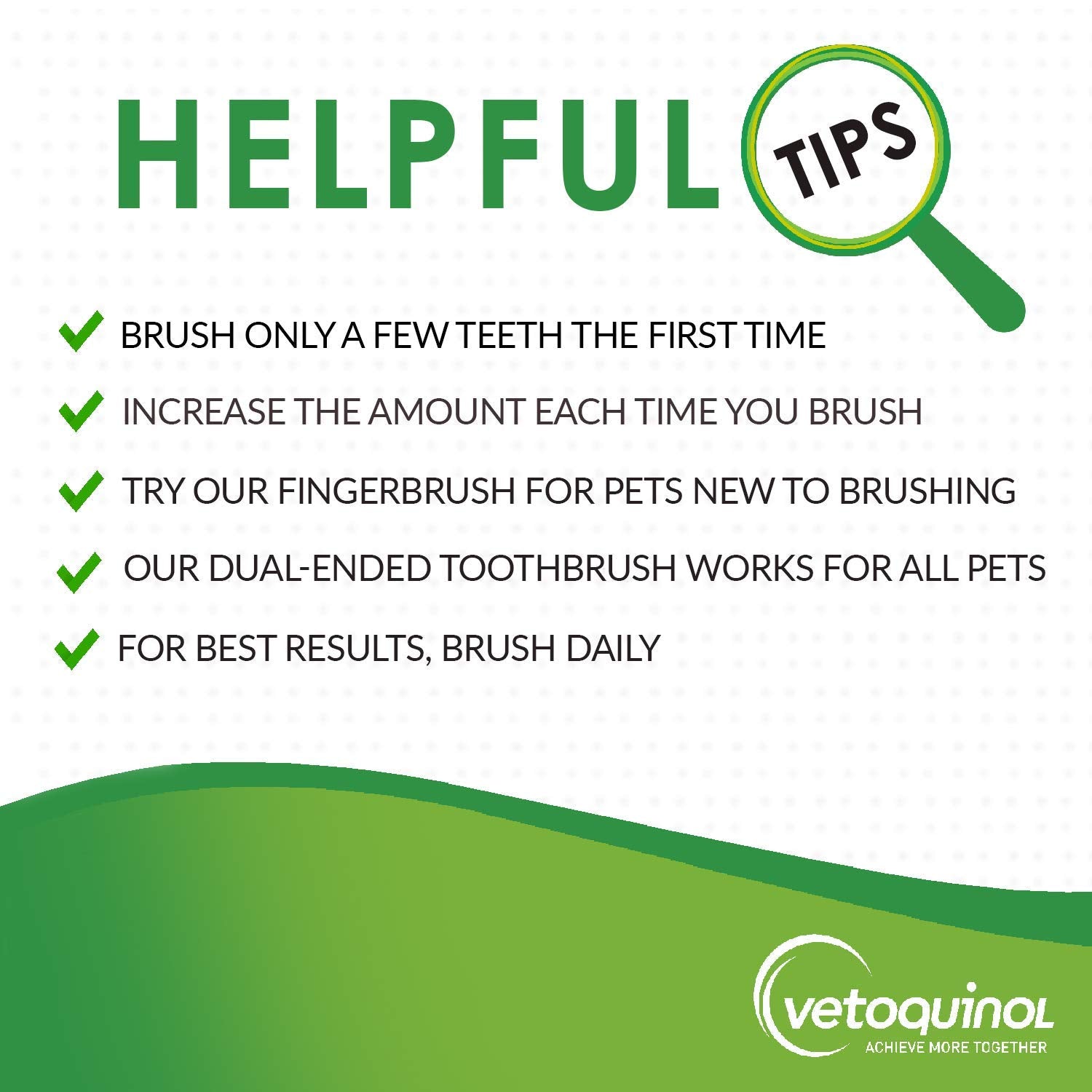 Vetoquinol Enzadent brushing demonstration showing routine with pet