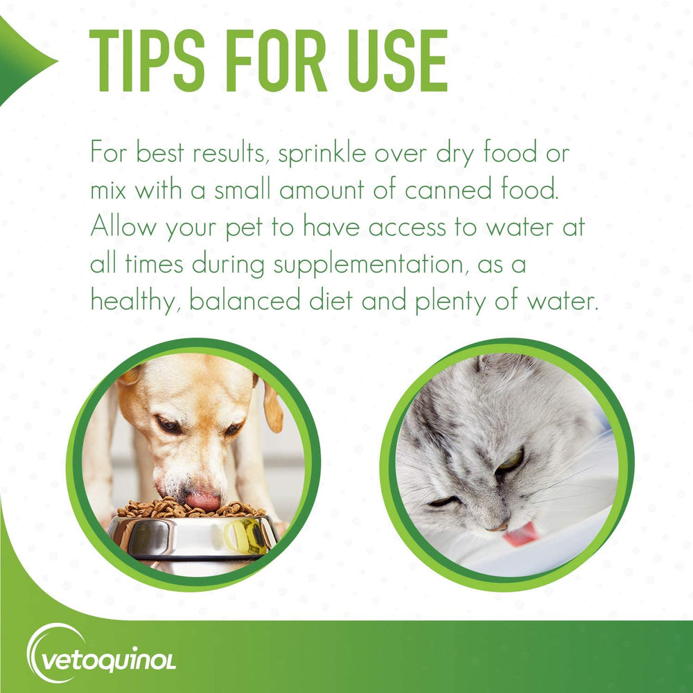 Vetoquinol Epakitin dog-cat-use scene demonstrates feeding alongside kidney-support diets.