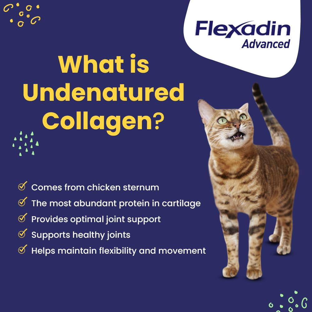 Vetoquinol Flexadin Advanced bottle label featuring clinically proven vet-approved formula.