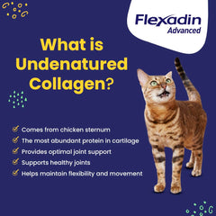 Vetoquinol Flexadin Advanced bottle label featuring clinically proven vet-approved formula.