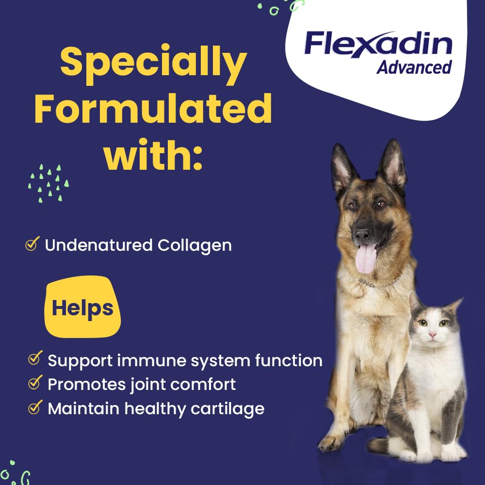 Vetoquinol Flexadin Advanced cat chew close-up illustrating feline joint comfort potential.