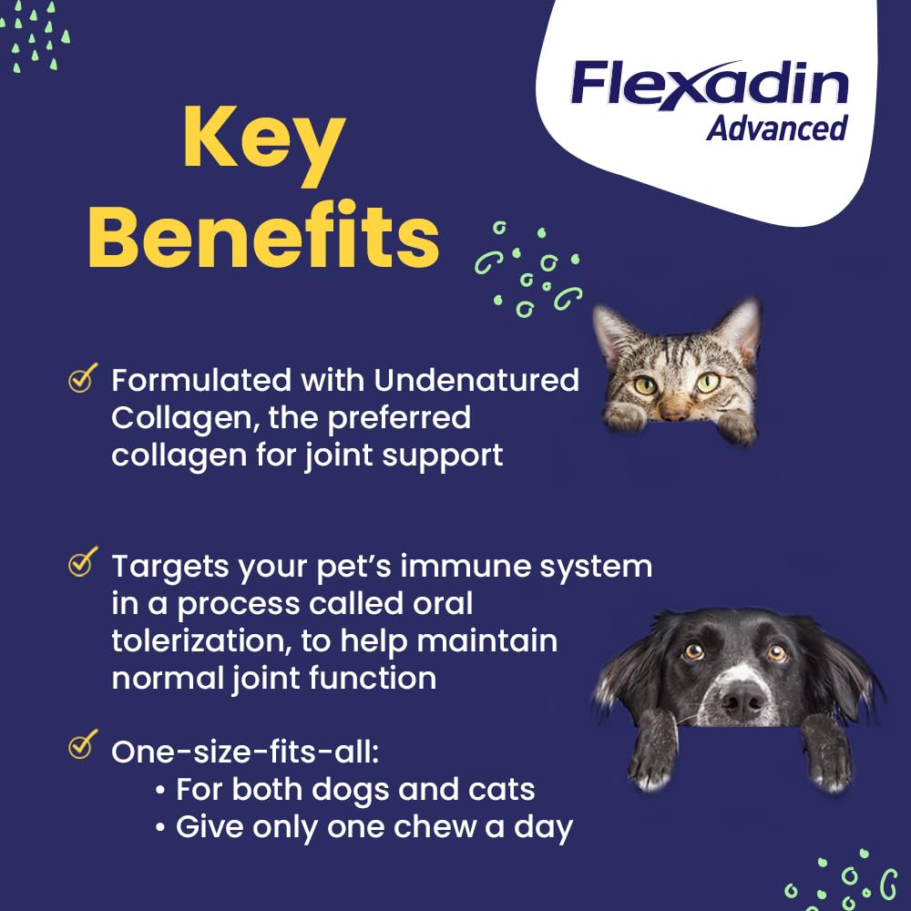 Vetoquinol Flexadin Advanced dog chew close-up showing one-chew daily hip and joint support.