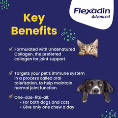 Vetoquinol Flexadin Advanced dog chew close-up showing one-chew daily hip and joint support.