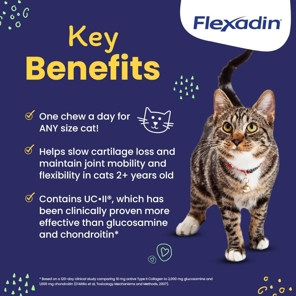 Vetoquinol Flexadin cat hip chew being offered to a cat for daily joint care