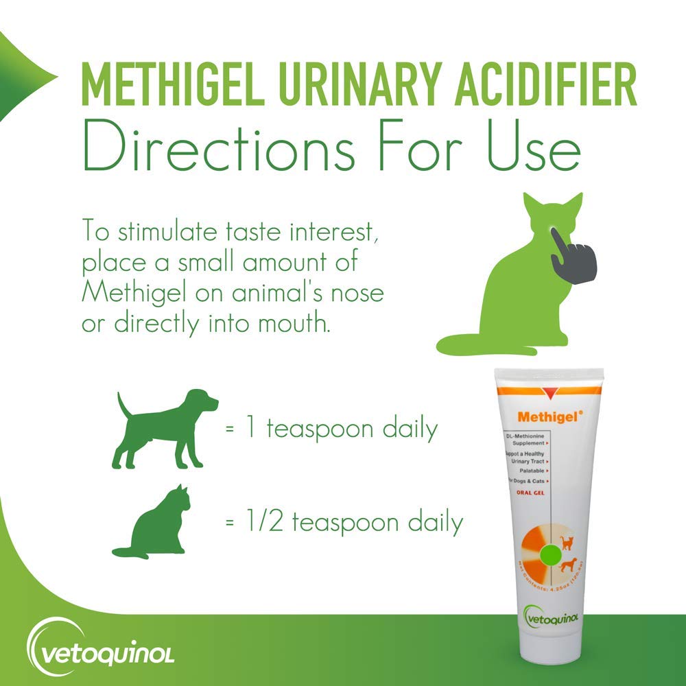 Vetoquinol Methigel bottle and tube with clear dosing information.