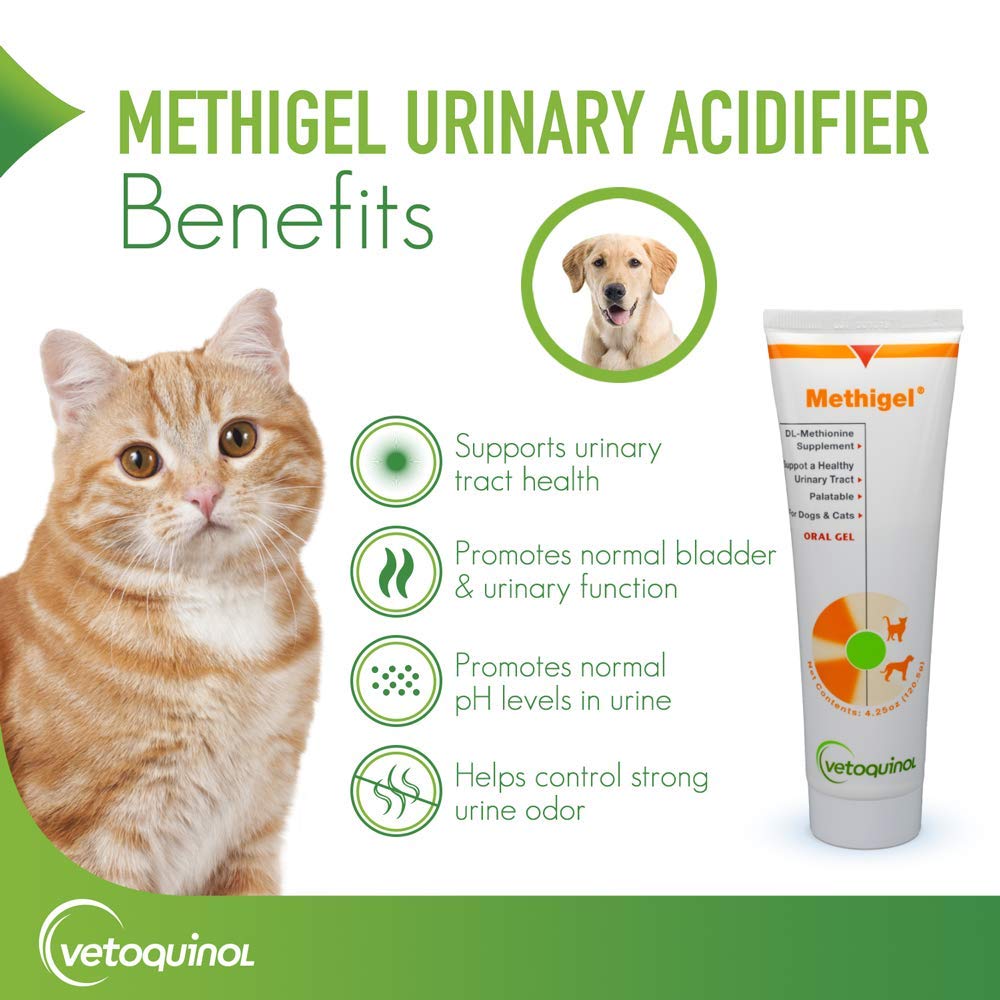 Vetoquinol Methigel easy dosing image showing simple administration.