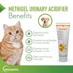 Vetoquinol Methigel easy dosing image showing simple administration.
