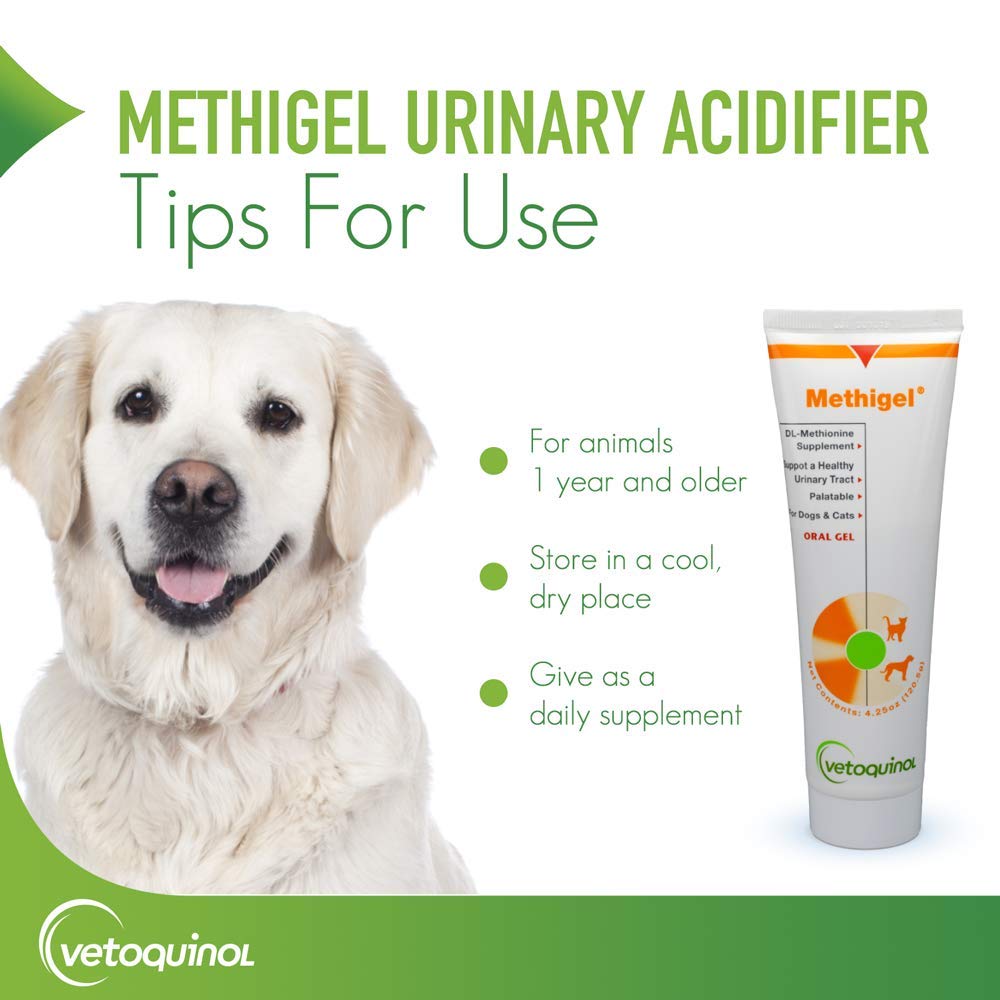 Vetoquinol Methigel pets enjoying the flavorful gel.