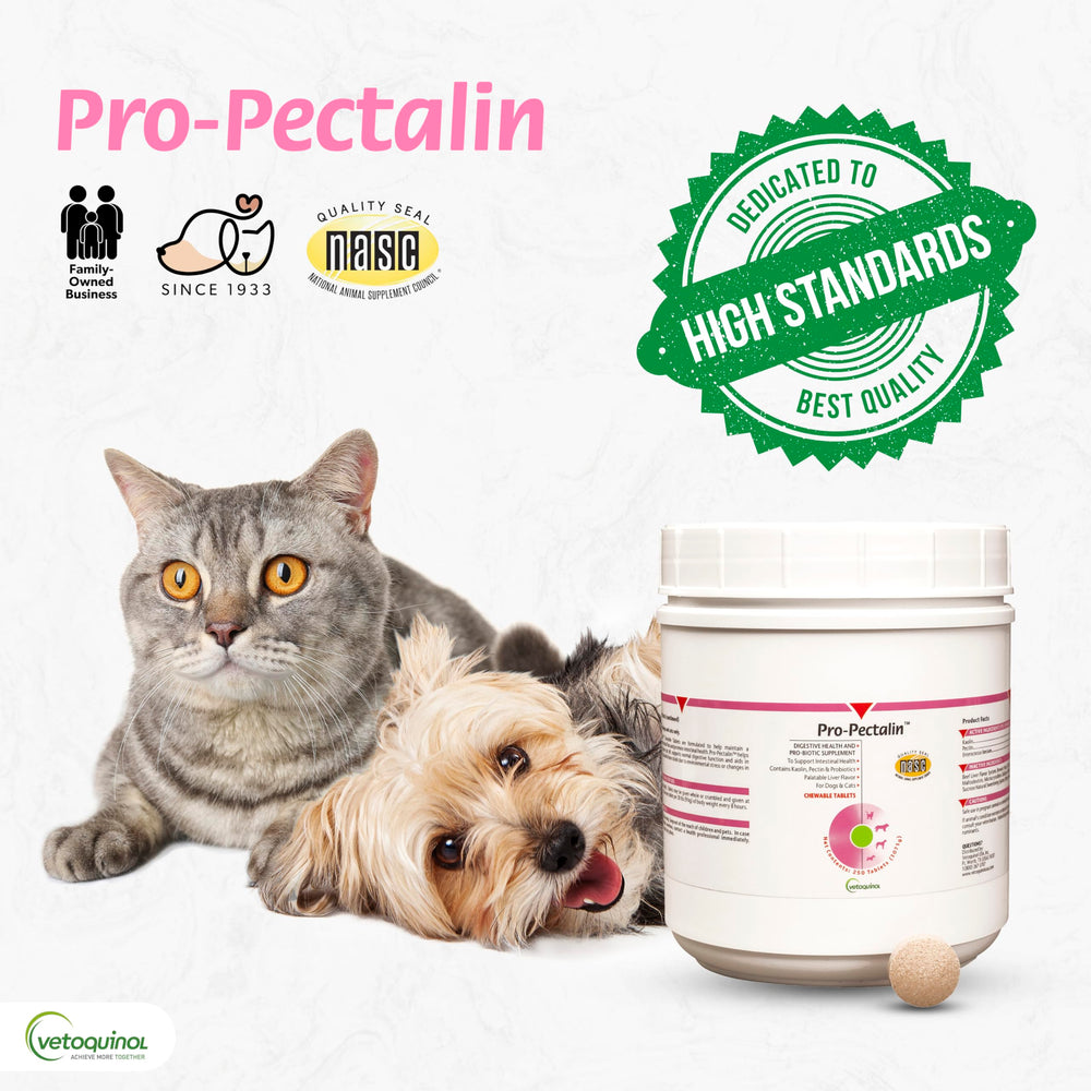 Dog accepts Vetoquinol Pro-Pectalin chew with ease.