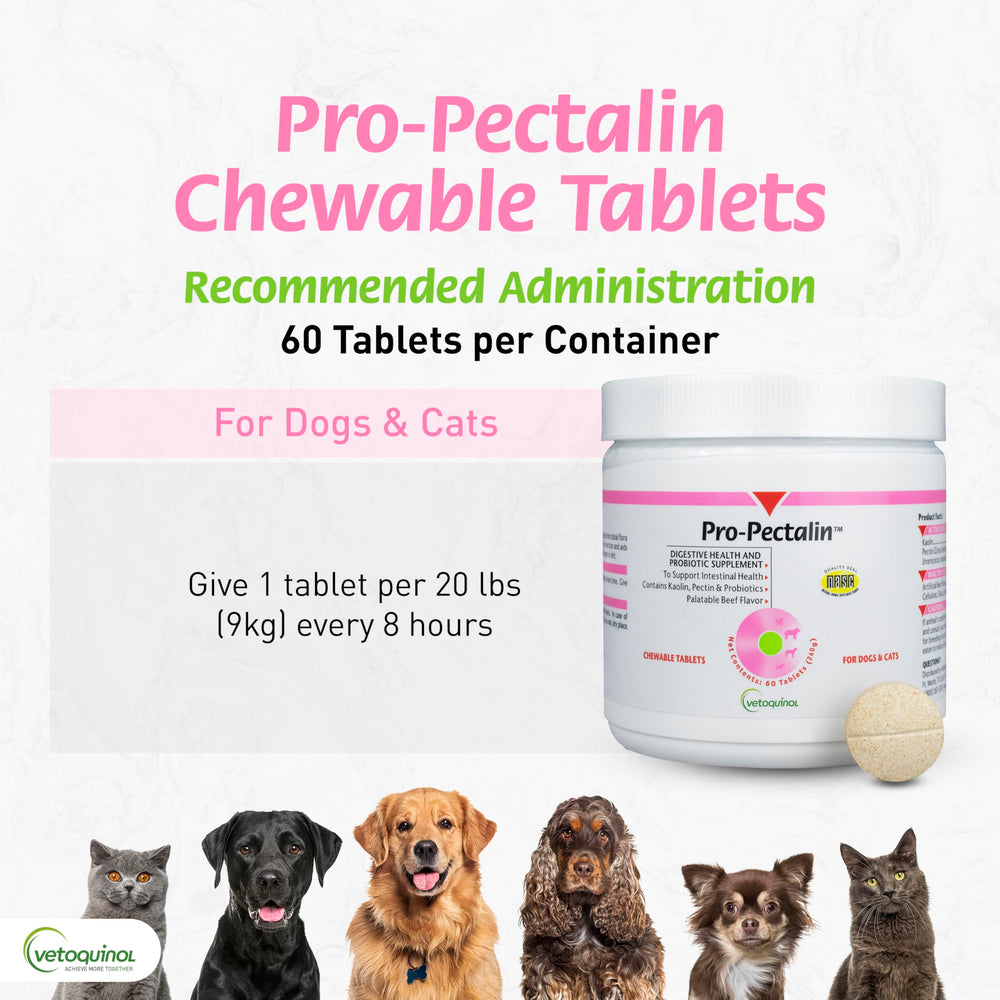 Vetoquinol Pro-Pectalin suitable for dogs and cats, easy administration at home.