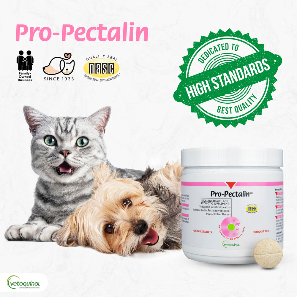 Vetoquinol Pro-Pectalin ingredient kaolin and pectin supports stool comfort.