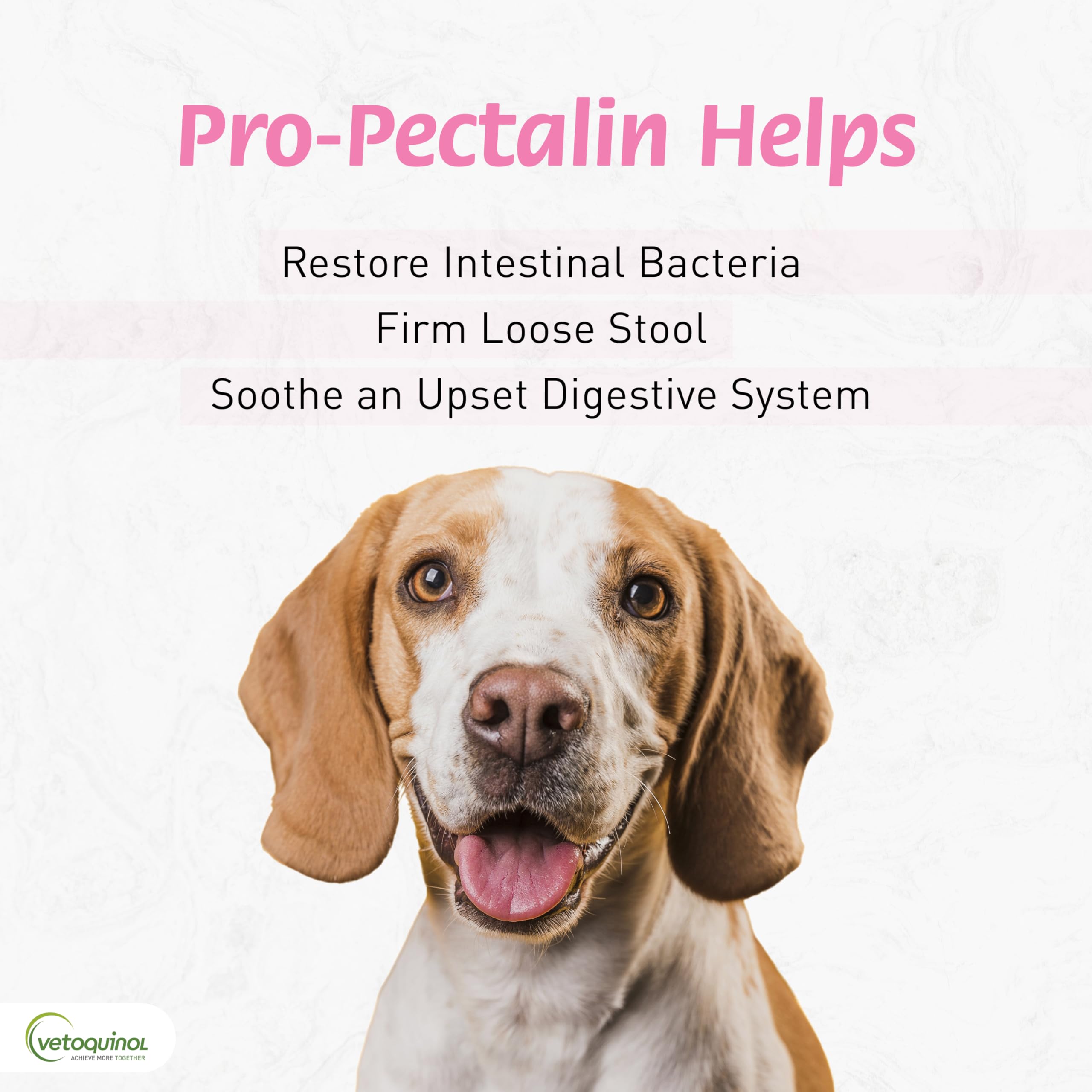 Vetoquinol Pro-Pectalin Paste application shows easy direct dosing for dogs and cats.