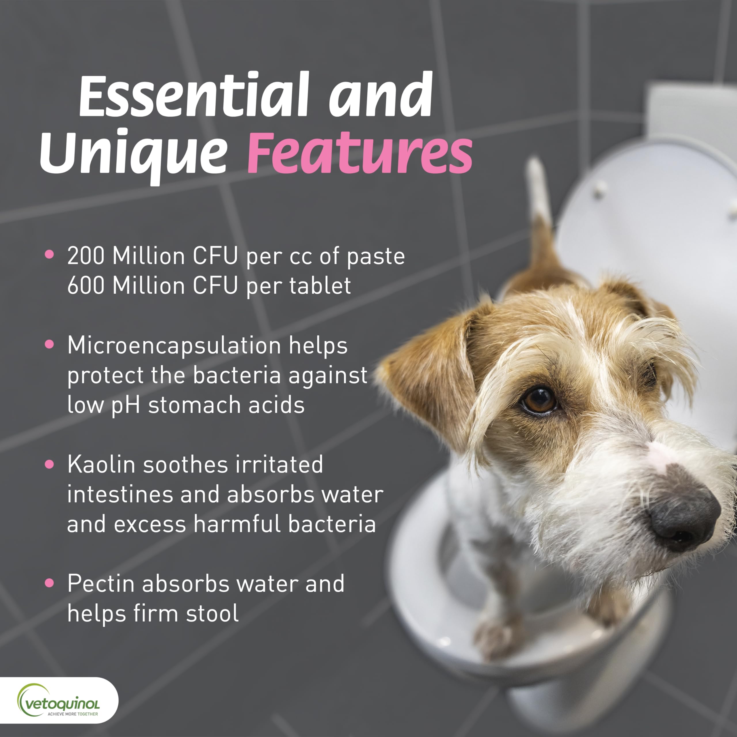 Vetoquinol Pro-Pectalin chicken-flavor label aids pet acceptance during dosing.