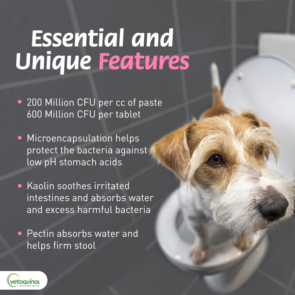 Vetoquinol Pro-Pectalin chicken-flavor label aids pet acceptance during dosing.