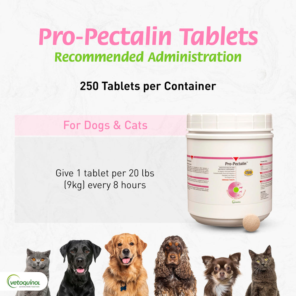 Vetoquinol Pro-Pectalin packaging shows 250 count bottle.