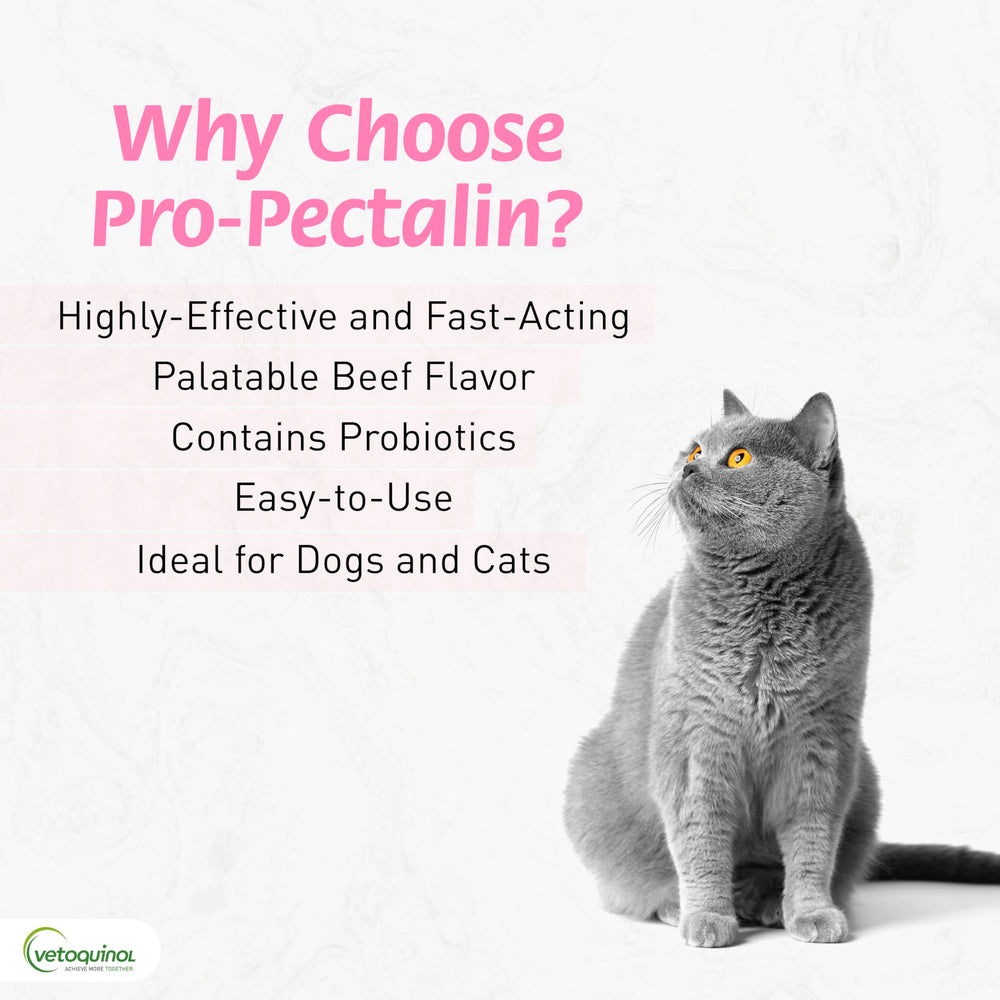 Vetoquinol Pro-Pectalin tablets ideal for cats and dogs during upset digestion.