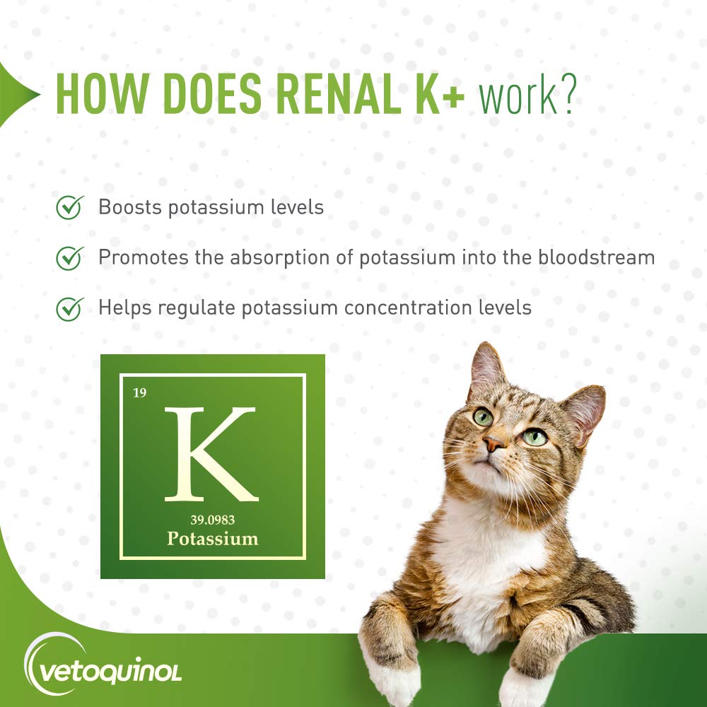 Vetoquinol Renal K+ powder on dog serving dish illustrates easy administration