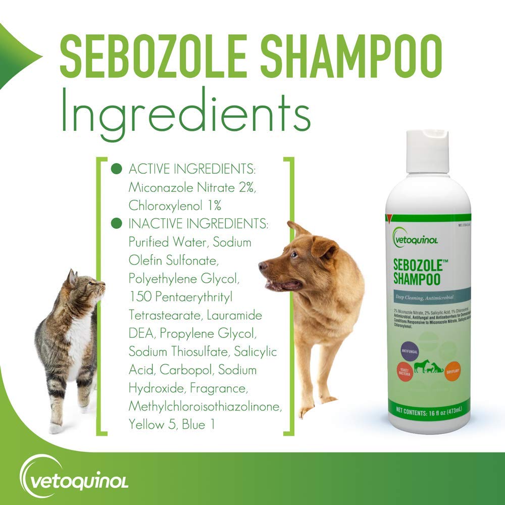 Vetoquinol Sebozole foamy lather during bath time