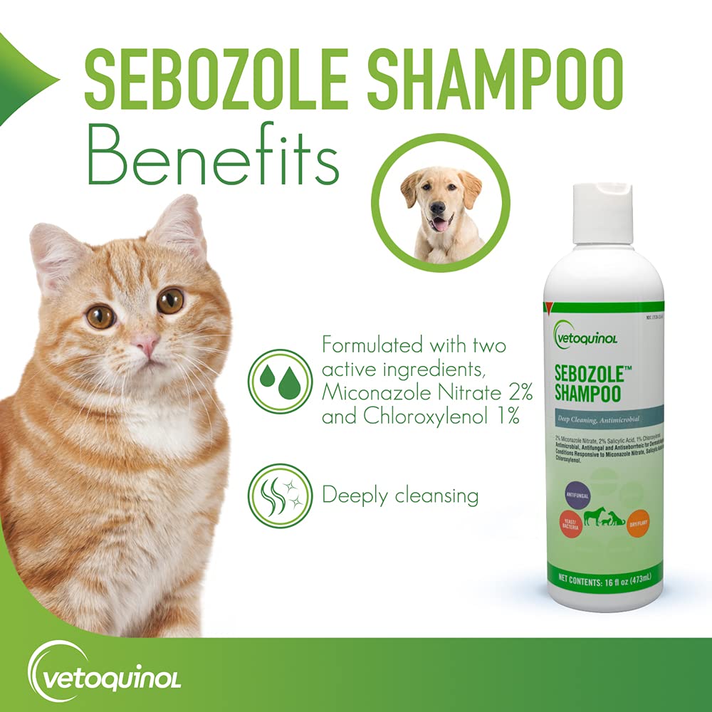 Vetoquinol Sebozole miconazole nitrate ingredient highlight for skin care