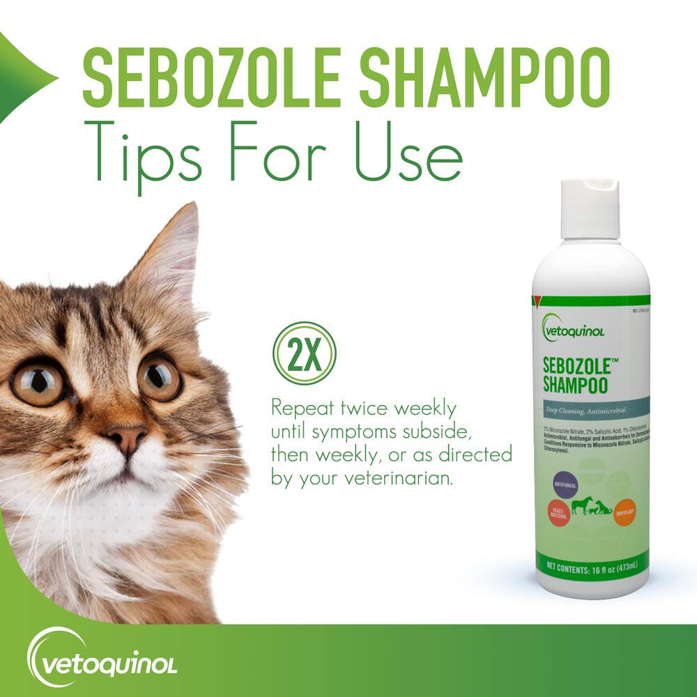 Vetoquinol Sebozole on dogs cats and horses during grooming