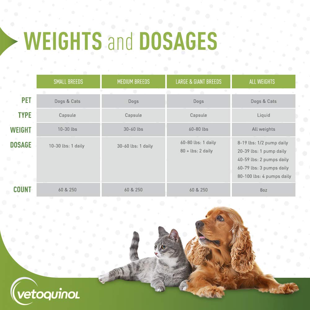 Vetoquinol large-dog 60-80 lbs dosage guidance on container.