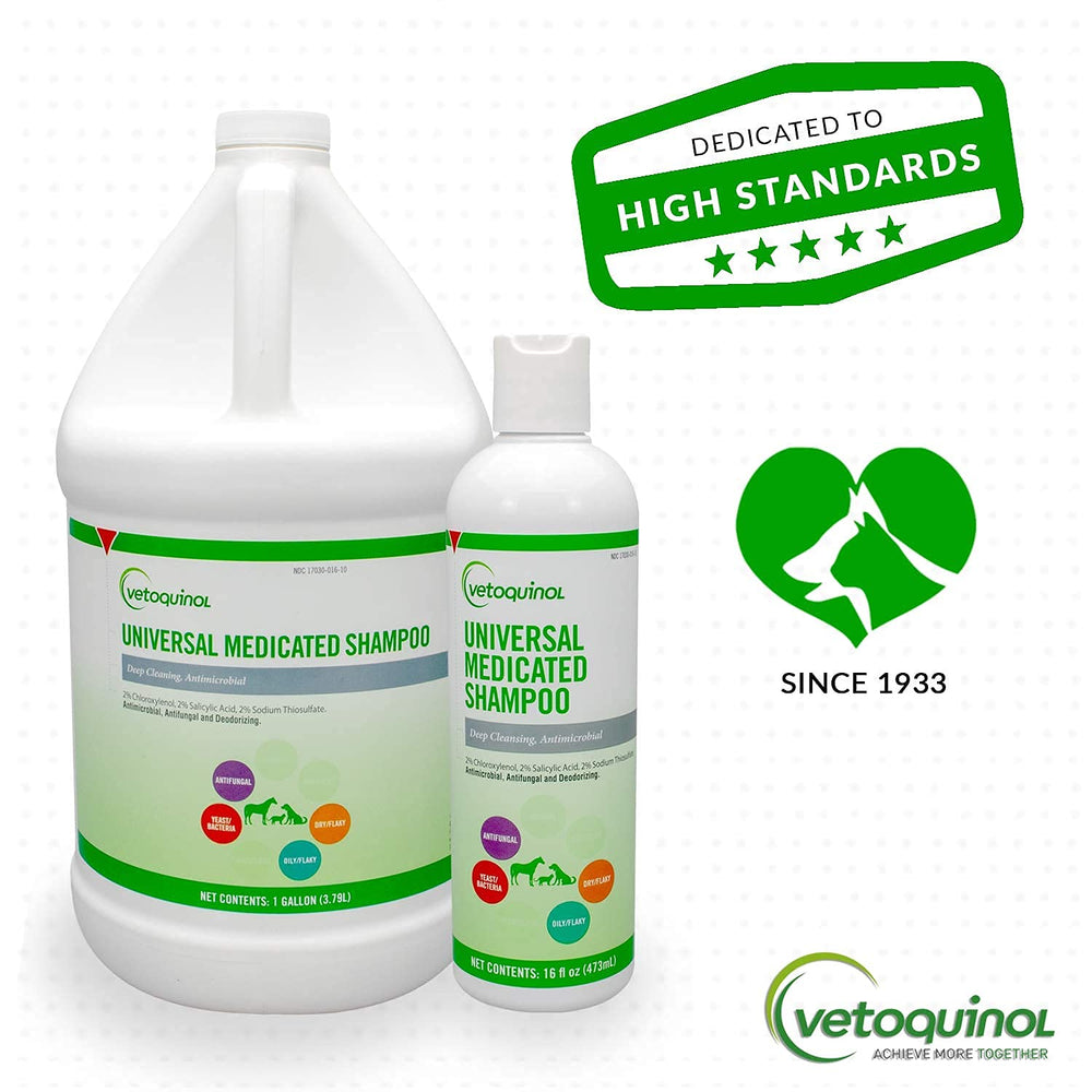 Vetoquinol Universal Medicated Shampoo routine use shot demonstrates easy at home grooming.