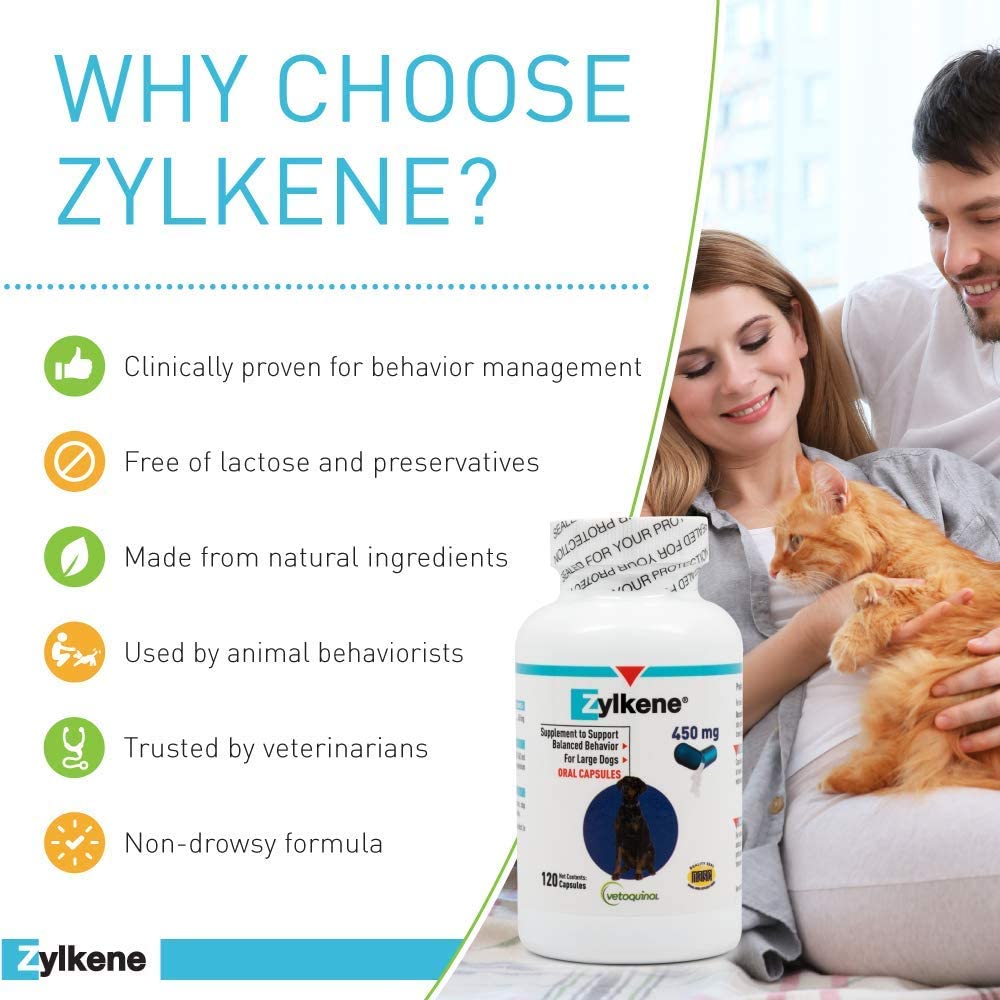 Vetoquinol Zylkene calm dog on porch visualizes reduced stress during exciting moments.