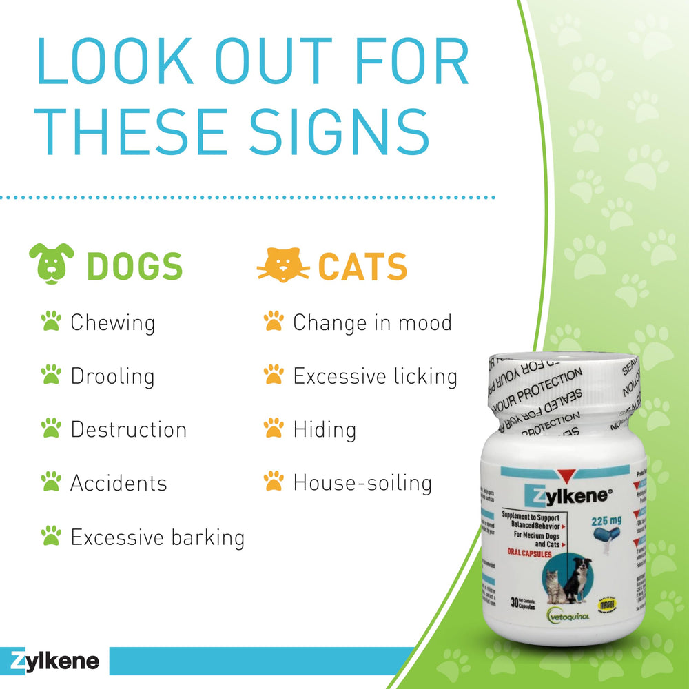 Vetoquinol Zylkene dog meal mix shows simple daily dosing.